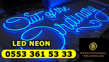 LED Neon